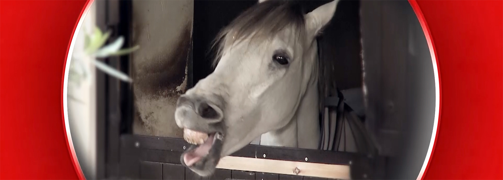 FOKUS KMU – die Sendung für Wirtschaft und Gesellschaft