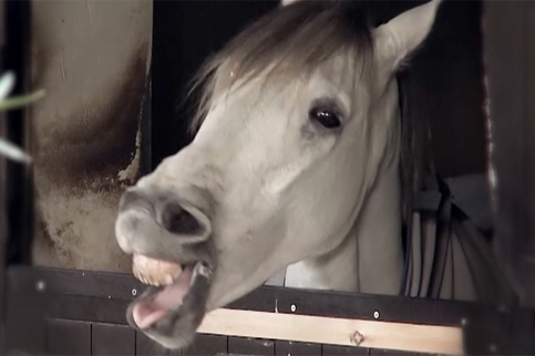 20210329 Jb20 Fokus Kmu 1600X572px