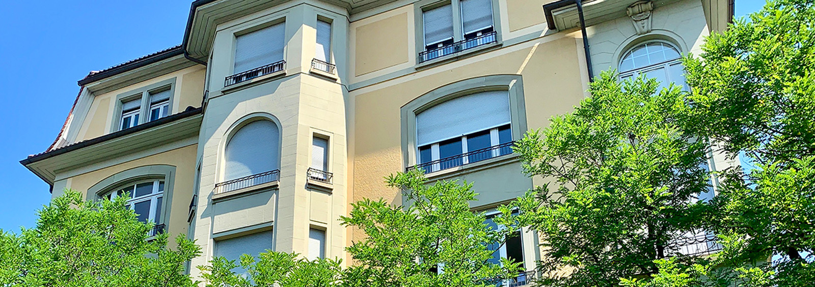 Jahr der Konsolidierung